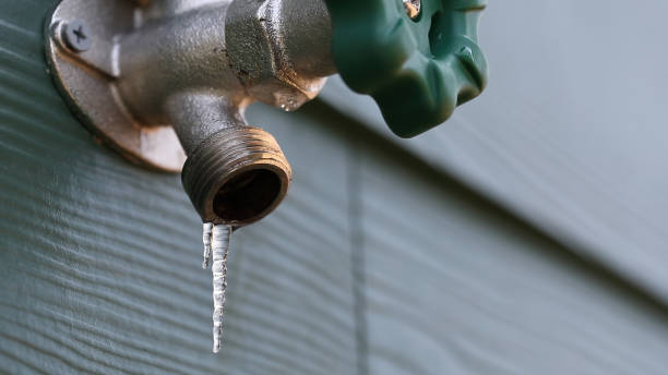 Best Sewer Cleaning Services  in Monon, IN